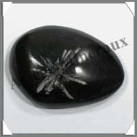 CHRYSANTHEMUM Stone - Galet de Soins 54x38 mm - C002