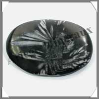 CHRYSANTHEMUM Stone - Galet de Soins 71x48 mm - C007