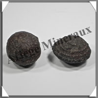 MOQUIS (en Paire) - 30 mm (Fminin) et 36x24 mm (Masculin) - 68 grammes - M013