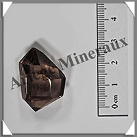 CITRINE (Naturelle)- BIPOINTE - 30x20x20 mm - 11 grammes - R024