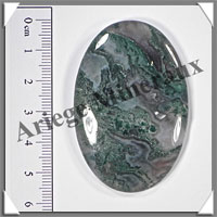 AGATE MOUSSE - Galet de Massage - 30 grammes - 60x40 mm - A001