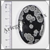 CHRYSANTEME STONE - Galet de Massage - 35 grammes - 60x40 mm - A002