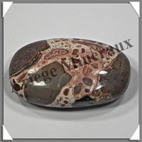 JASPE LEOPARD - Galet de Soins - 66 grammes - 65x40x10 mm - A005