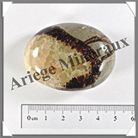 SEPTARIA - Galet de Soins - 55 grammes - 48x35x18 mm - Y001