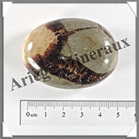 SEPTARIA - Galet de Soins - 55 grammes - 48x35x18 mm - Y001