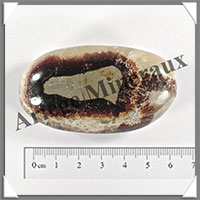 SEPTARIA - Galet de Soins - 69 grammes - 65x35x20 mm - Y003