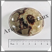 SEPTARIA - Galet de Soins - 79 grammes - 55x42x25 mm - Y005