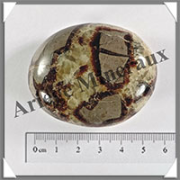 SEPTARIA - Galet de Soins - 79 grammes - 55x42x25 mm - Y005