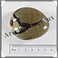 SEPTARIA - Galet de Soins - 83 grammes - 55x45x25 mm - Y006