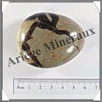 SEPTARIA - Galet de Soins - 83 grammes - 55x45x25 mm - Y006