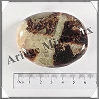 SEPTARIA - Galet de Soins - 86 grammes - 60x45x22 mm - Y007