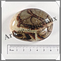 SEPTARIA - Galet de Soins - 86 grammes - 60x45x22 mm - Y007