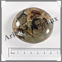 SEPTARIA - Galet de Soins - 86 grammes - 60x50x20 mm - Y008