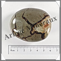 SEPTARIA - Galet de Soins - 90 grammes - 60x48x25 mm - Y009