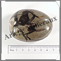 SEPTARIA - Galet de Soins - 123 grammes - 65x50x30 mm - Y010