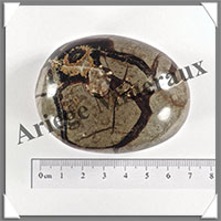SEPTARIA - Galet de Soins - 123 grammes - 65x50x30 mm - Y010