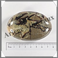 SEPTARIA - Galet de Soins - 125 grammes - 75x48x24 mm - Y011