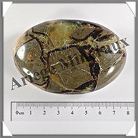 SEPTARIA - Galet de Soins - 125 grammes - 75x48x24 mm - Y011