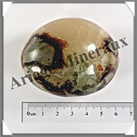 SEPTARIA - Galet de Soins - 128 grammes - 60x50x35 mm - Y013