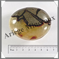 SEPTARIA - Galet de Soins - 128 grammes - 60x50x35 mm - Y013