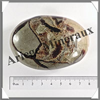 SEPTARIA - Galet de Soins - 163 grammes - 78x55x30 mm - Y014