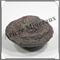 MOQUIS (en Paire) - 41 mm (Fminin) et 48x30 mm (Masculin) - 156 grammes - M018