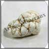 MAGNESITE - [Taille 2] - 20  30 mm Zimbabw