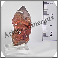 GRENAT SPESSARTITE - 19 grammes - 35x20x20 mm - M002