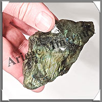 LABRADORITE - Extra - 1 Face Polie - 100x50x45 mm - 260 grammes - M013