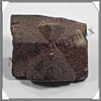 STAURODITE - 19 grammes - 30x25x15 mm - E005
