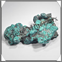 TURQUOISE (Vritable) - 588 grammes - 155x145x50 mm - P100