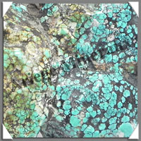 TURQUOISE (Vritable) - 588 grammes - 155x145x50 mm - P100