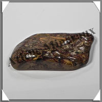 PIETERSITE - 58x25x11 mm - 21 grammes - C011