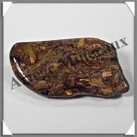 PIETERSITE - 58x25x11 mm - 21 grammes - C011